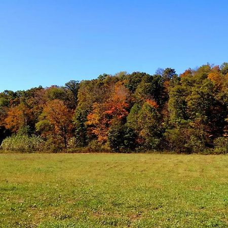 Altenbrauch Farm - Camping In The Hocking Hills 호텔 Stella 외부 사진