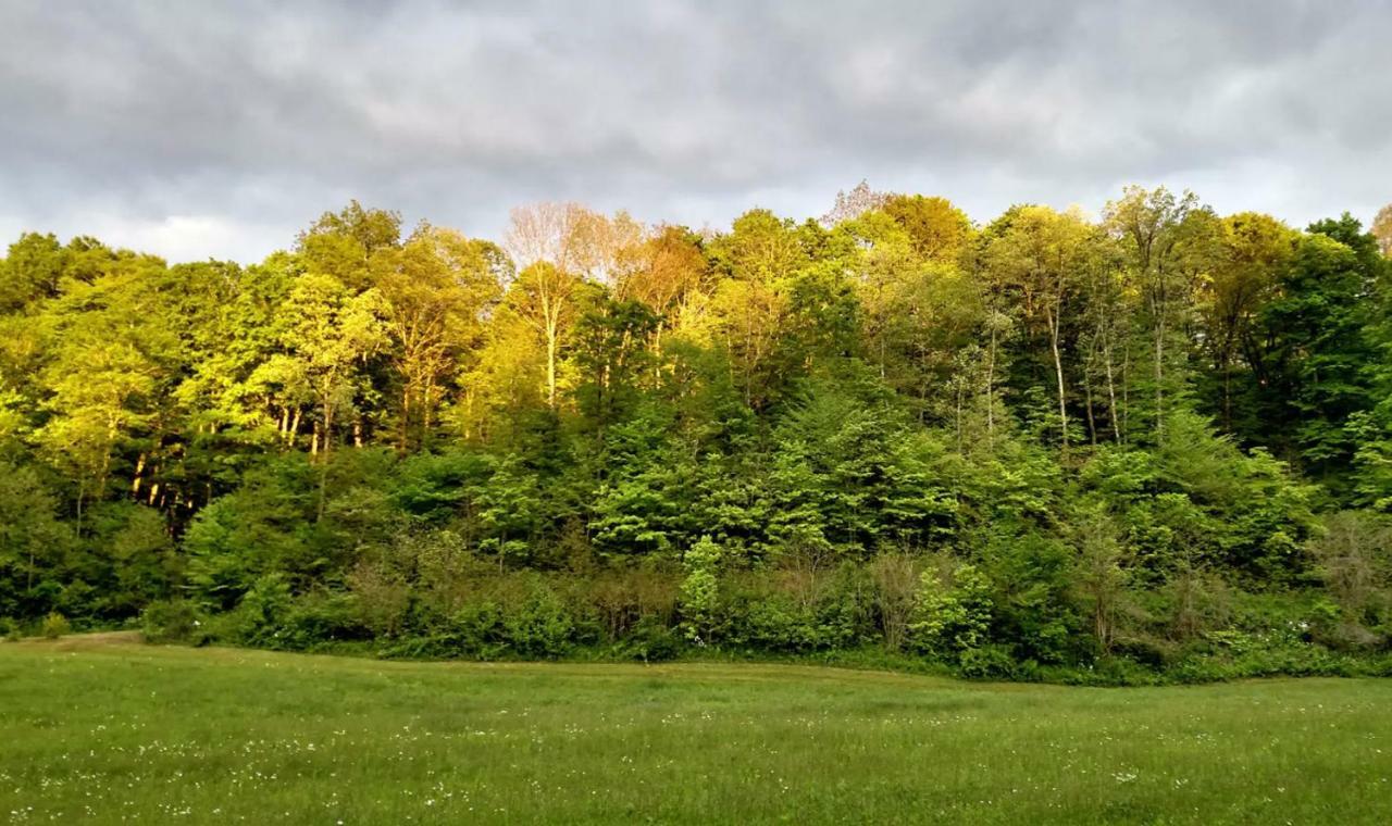 Altenbrauch Farm - Camping In The Hocking Hills 호텔 Stella 외부 사진